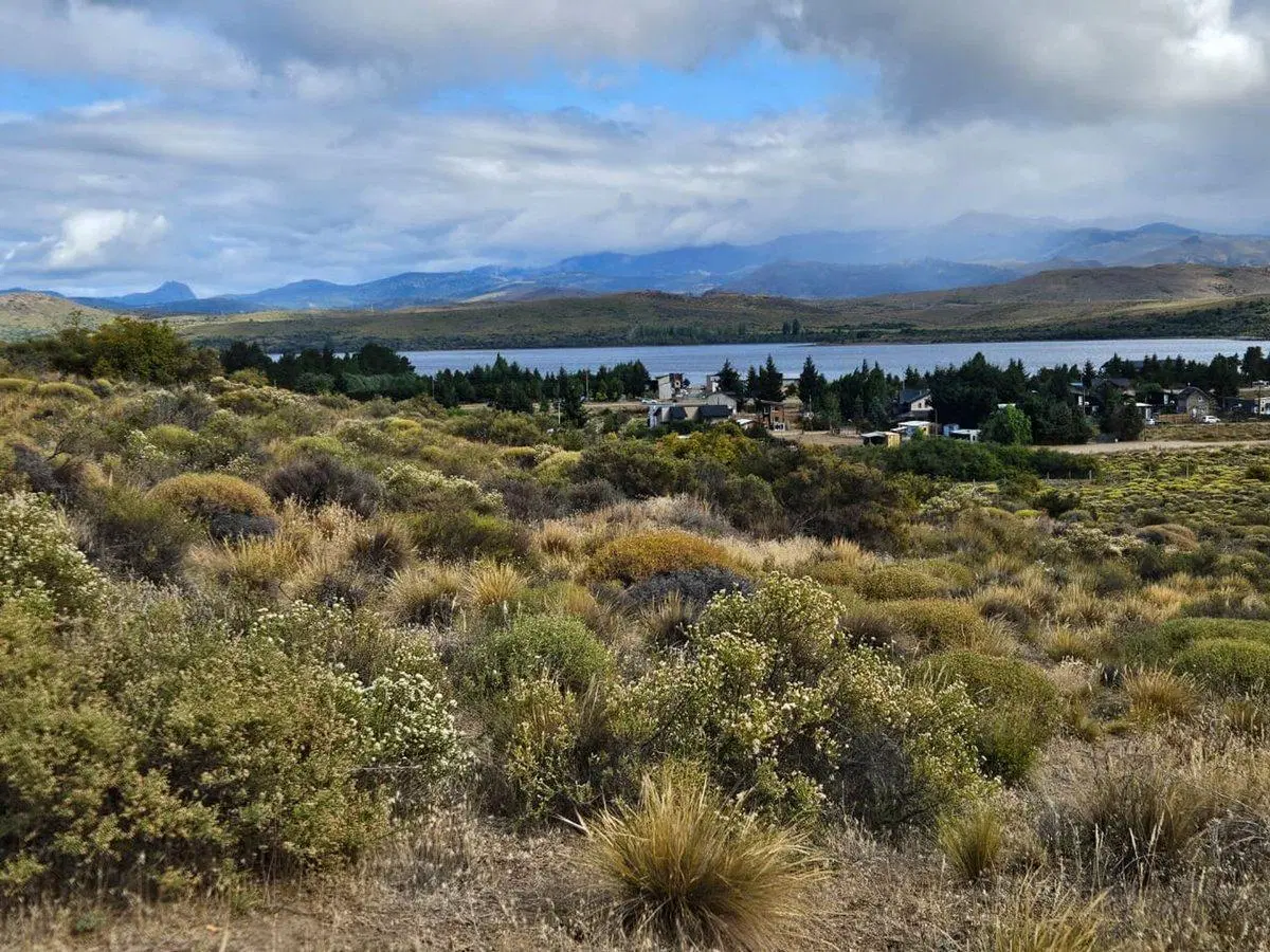 Barrancas de Dina Huapi Lote 81 5