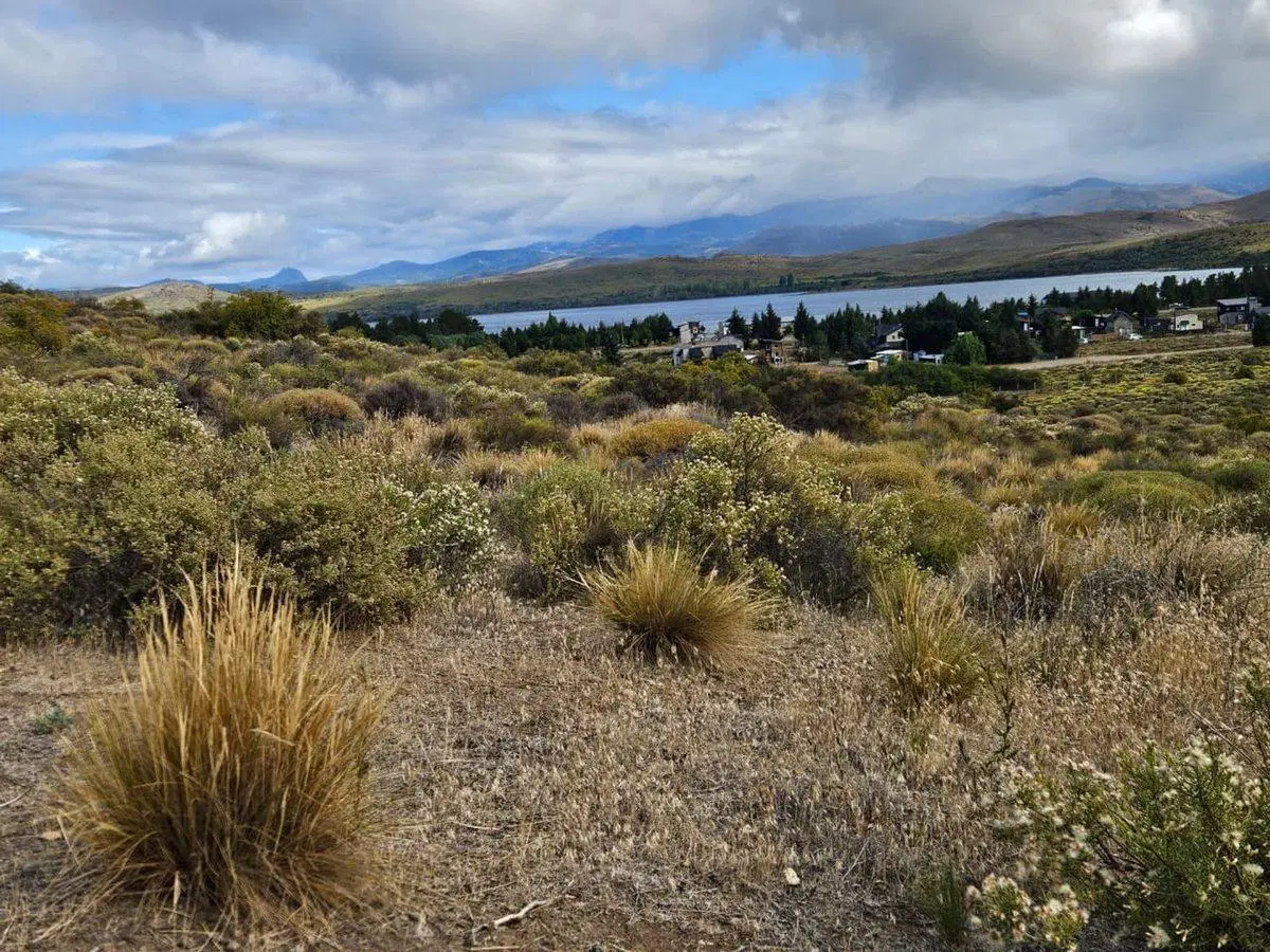 Barrancas de Dina Huapi Lote 81 4