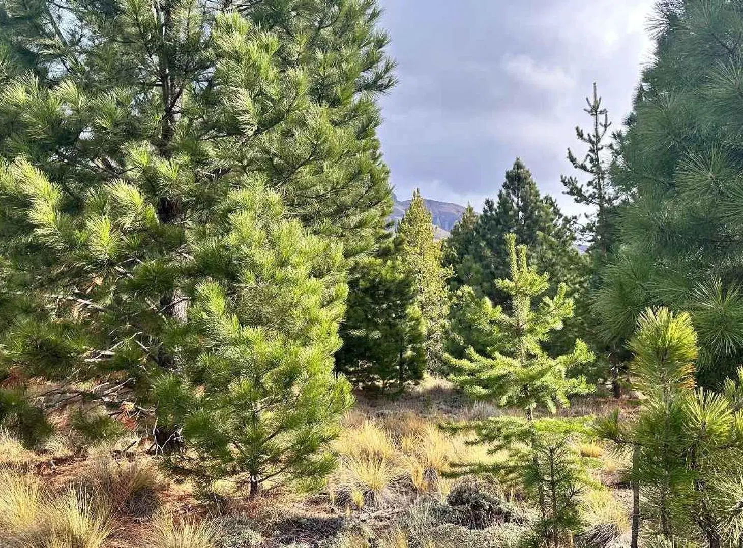 Lote en Venta con Vistas Panorámicas - Dos Valles 3