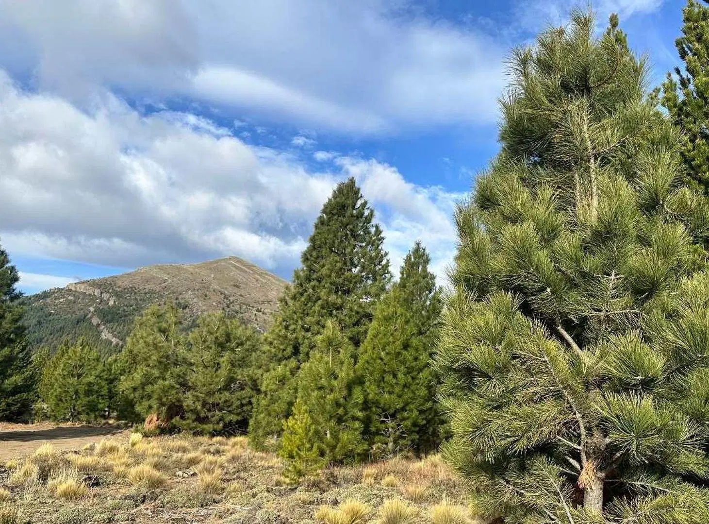 Lote en Venta con Vistas Panorámicas - Dos Valles 4