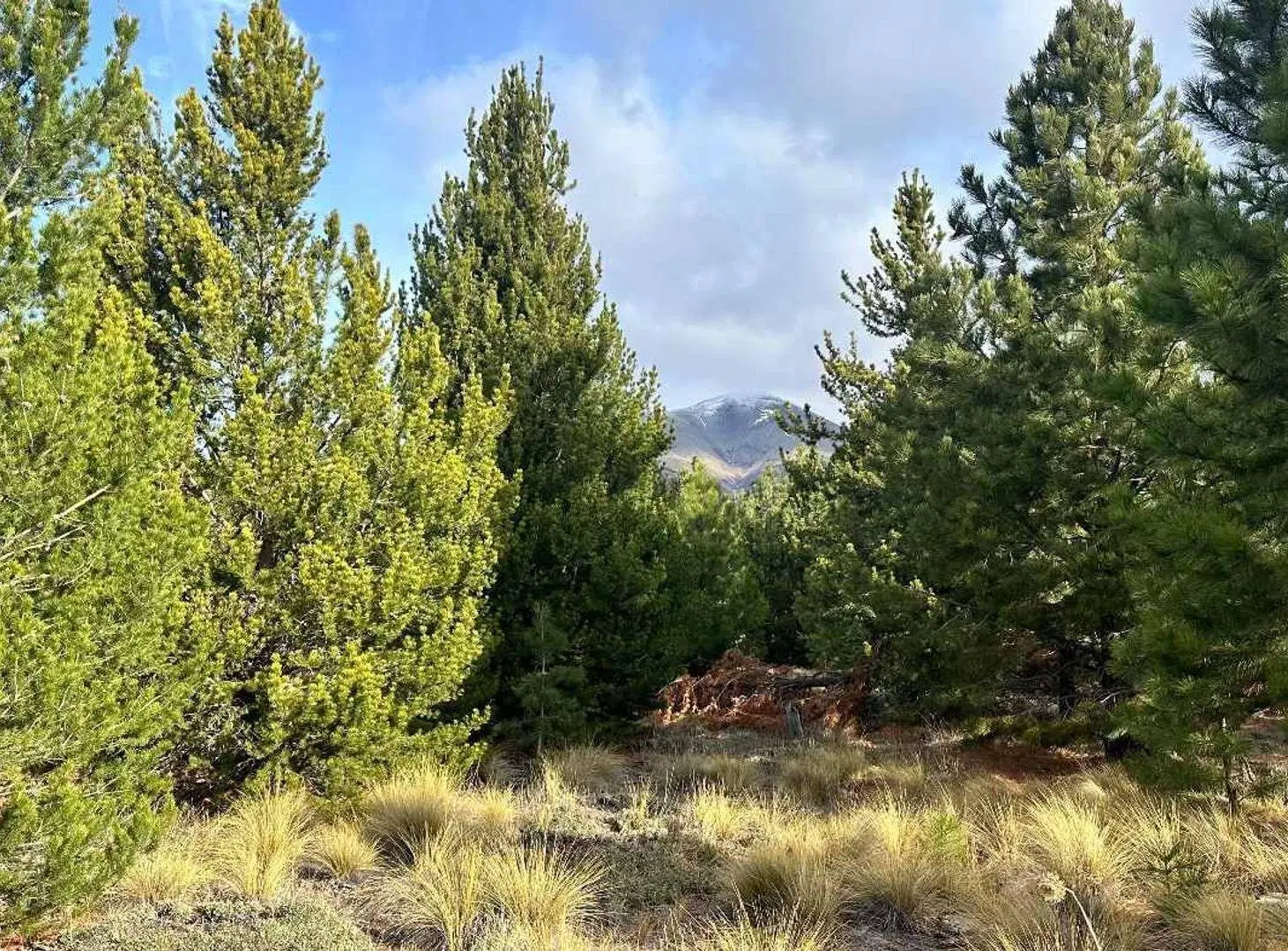 Lote en Venta con Vistas Panorámicas - Dos Valles 2