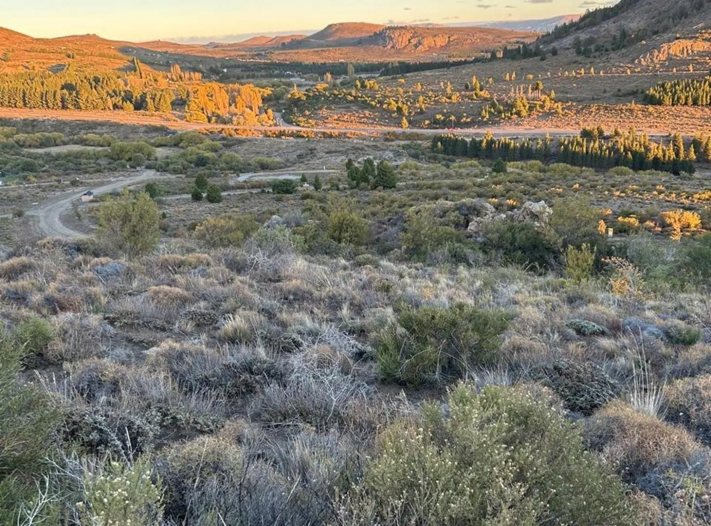 Lote con vista plena en Barrancas de DINA HUAPI 5