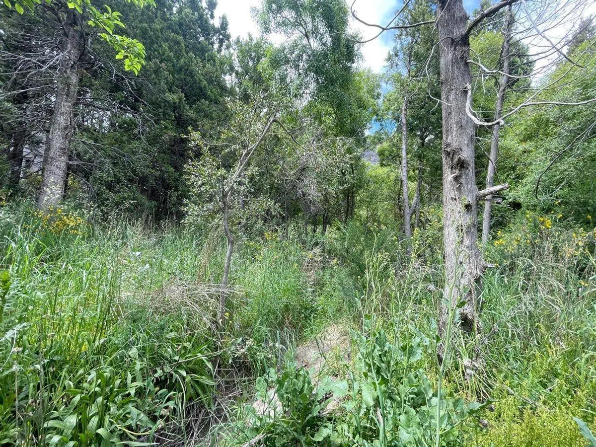 Lote  en Bariloche villa lago Gutiérrez 5