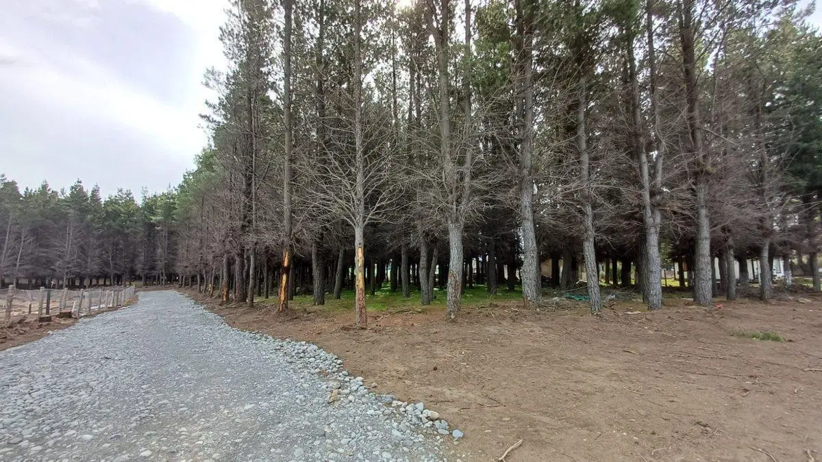 Lote en PH Venta Dina Huapi 4