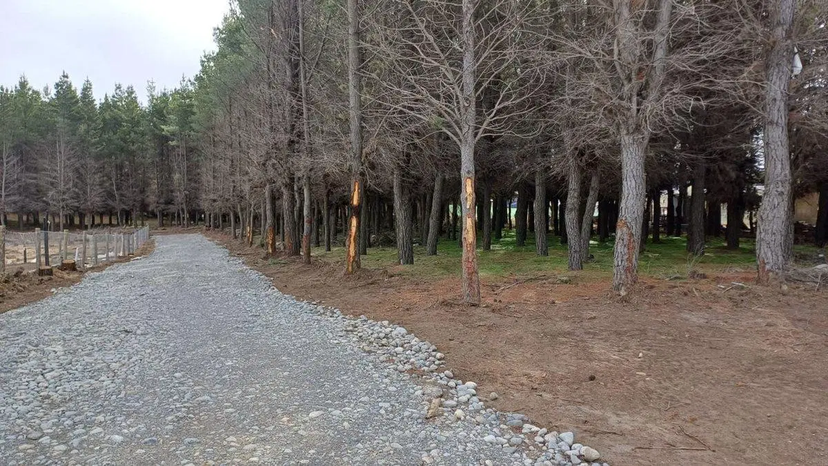 Lote en PH Venta Dina Huapi 3