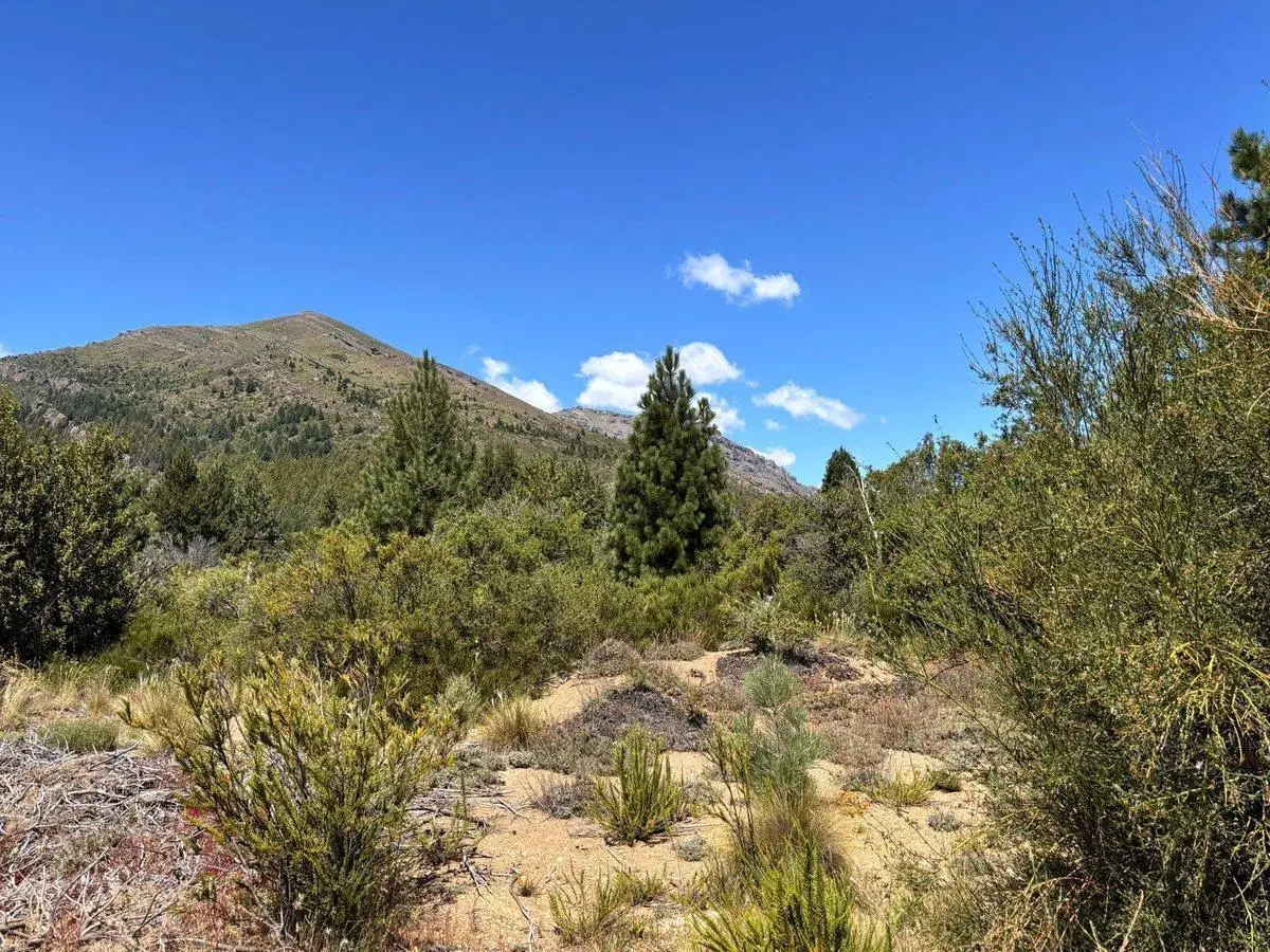 Lote en venta Mirador del Callhuaco 300 metros 3