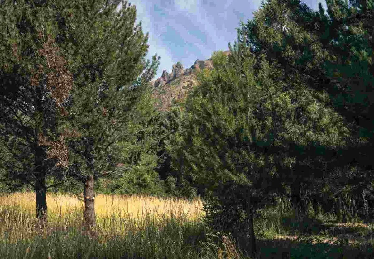 Lote en Venta APTO PH - Oportunidad en Bariloche 2
