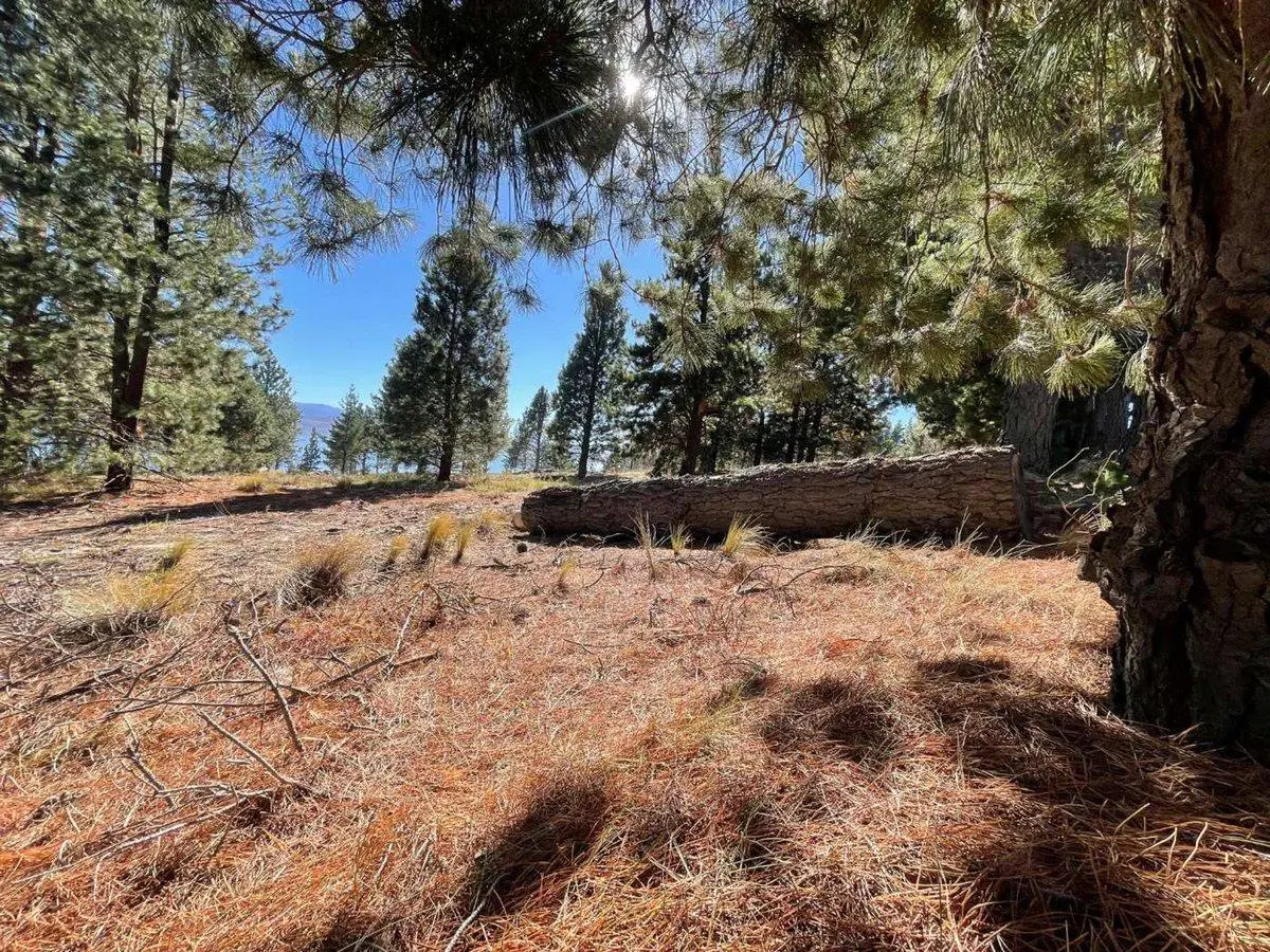 LOTE EN LAS CHACRAS RUTA40 SAN CARLOS DE BARILOCHE 4
