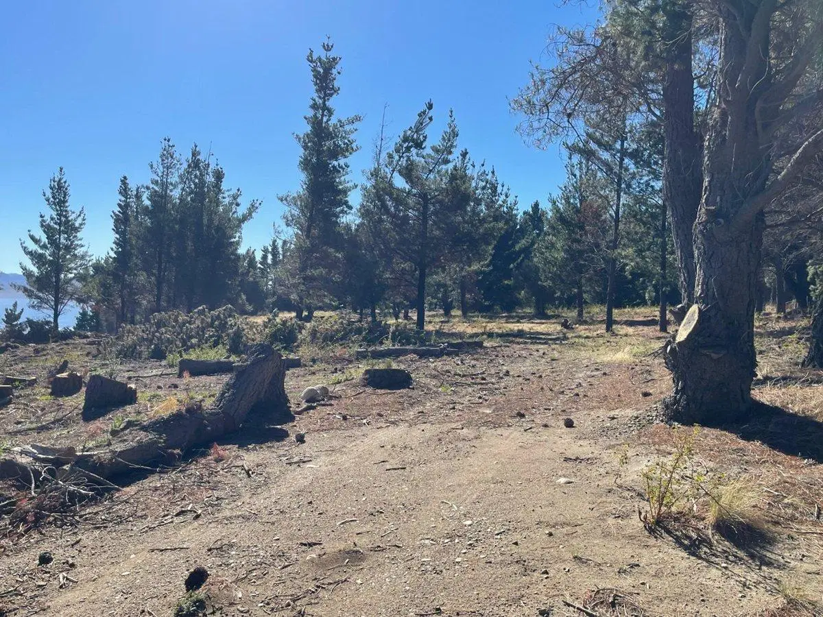 LOTE EN LAS CHACRAS RUTA40 SAN CARLOS DE BARILOCHE 3