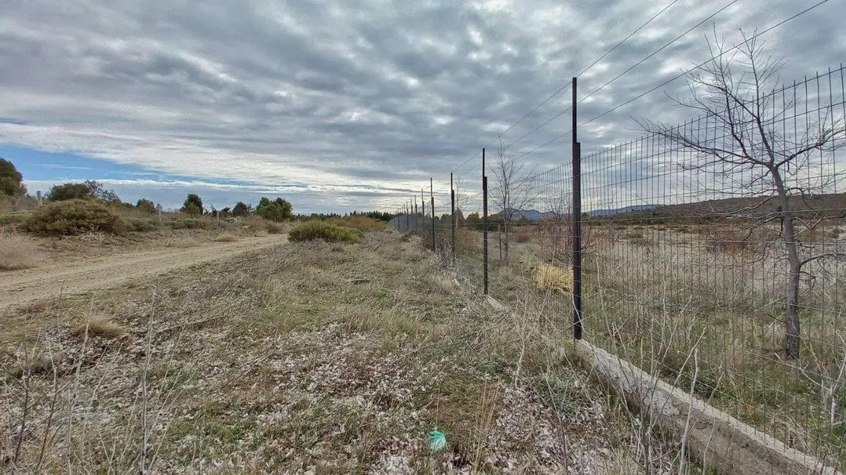 Alquiler Lote Hectárea Aeropuerto Bariloche 2