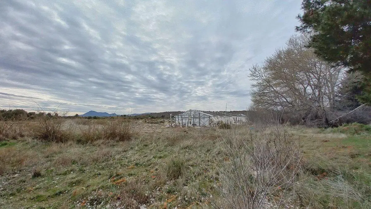 Alquiler Lote Hectárea Aeropuerto Bariloche 5
