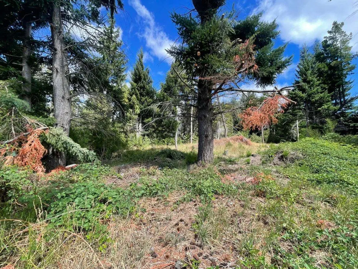 Lote Av Bustillo km 21 Apto Comercial  Turístico 3