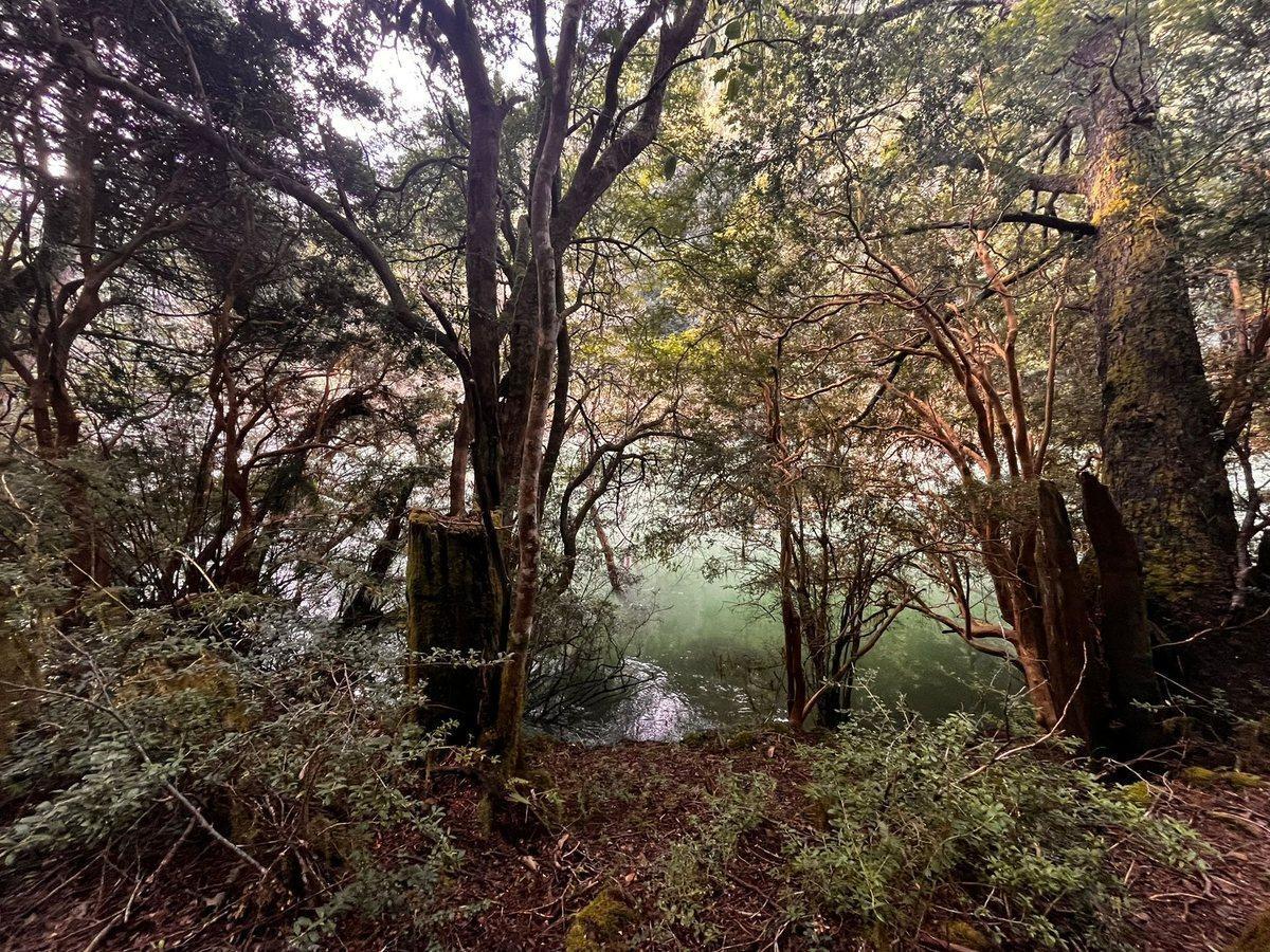 Foto de Campo en Venta en El Manso - 174 ha, imagen 3