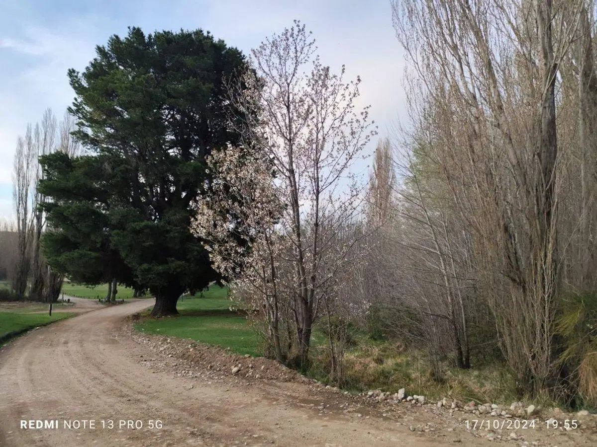 VENTA LOTE CON FONDO VERDE CON PROYECTO 3