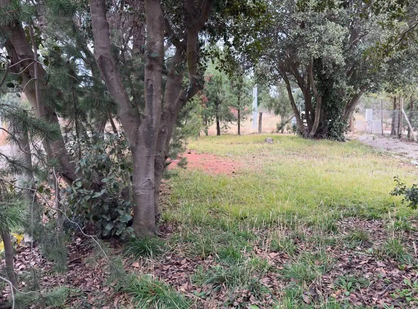TERRENO EN ESQUINA B. ABEDULES, CON TINY HOUSE 4