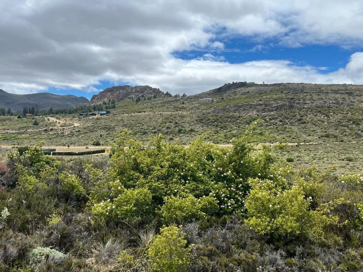 LOTE CON VISTA AL LAGO EN DINA HUAPI 4
