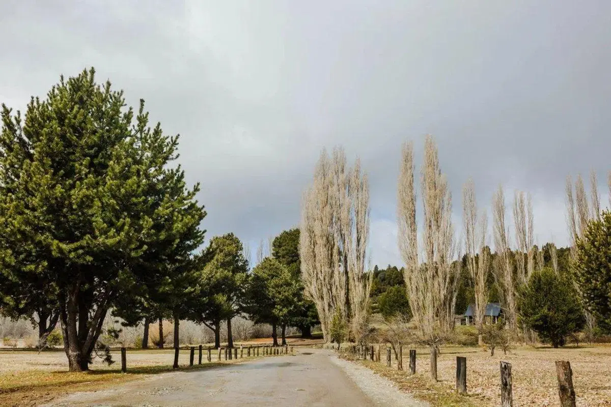Lote Financiados en Dos valles 2