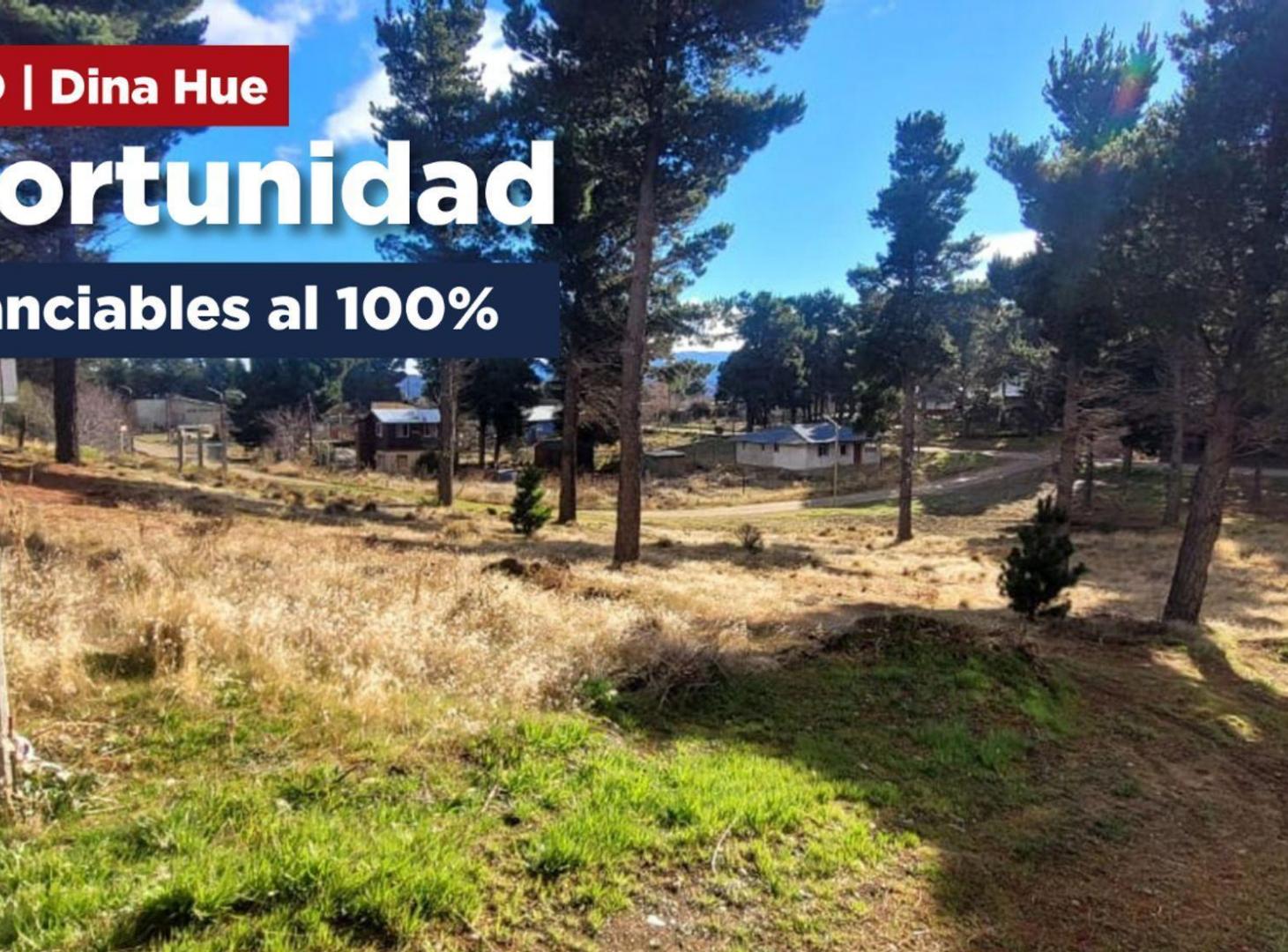Foto de Loteo (Nogales y Petunias) Dina Huapi – Dina Hue, imagen 1