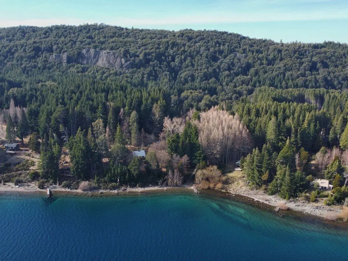 36000m2 Costa Lago Nahuel Huapi Bariloche 5