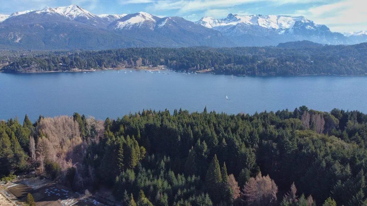 36000m2 Costa Lago Nahuel Huapi Bariloche 4