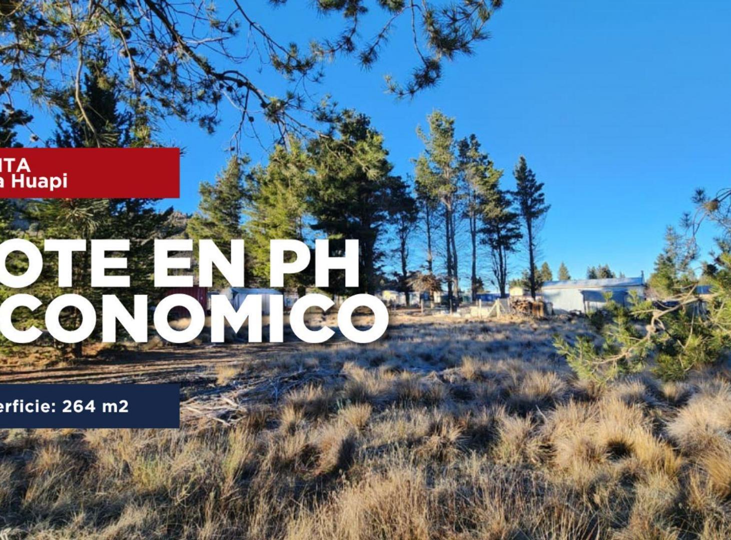 Foto de Lote en PH económico Dina huapi - Dina hue, imagen 1