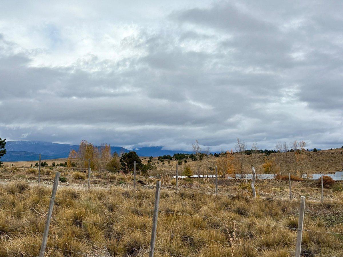 Foto de Lote plano - 994 Mts - La Herradura - Ñirihuau -, imagen 4