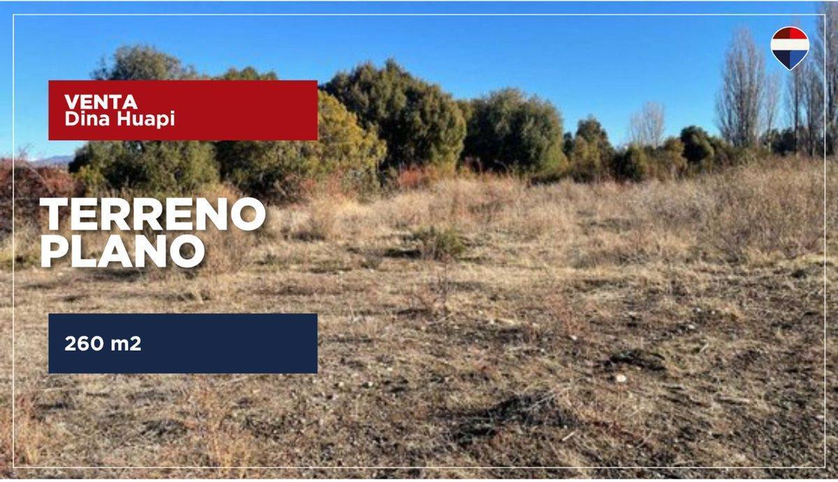 Foto de Lote Dina Huapi OPORTUNIDAD, imagen 1