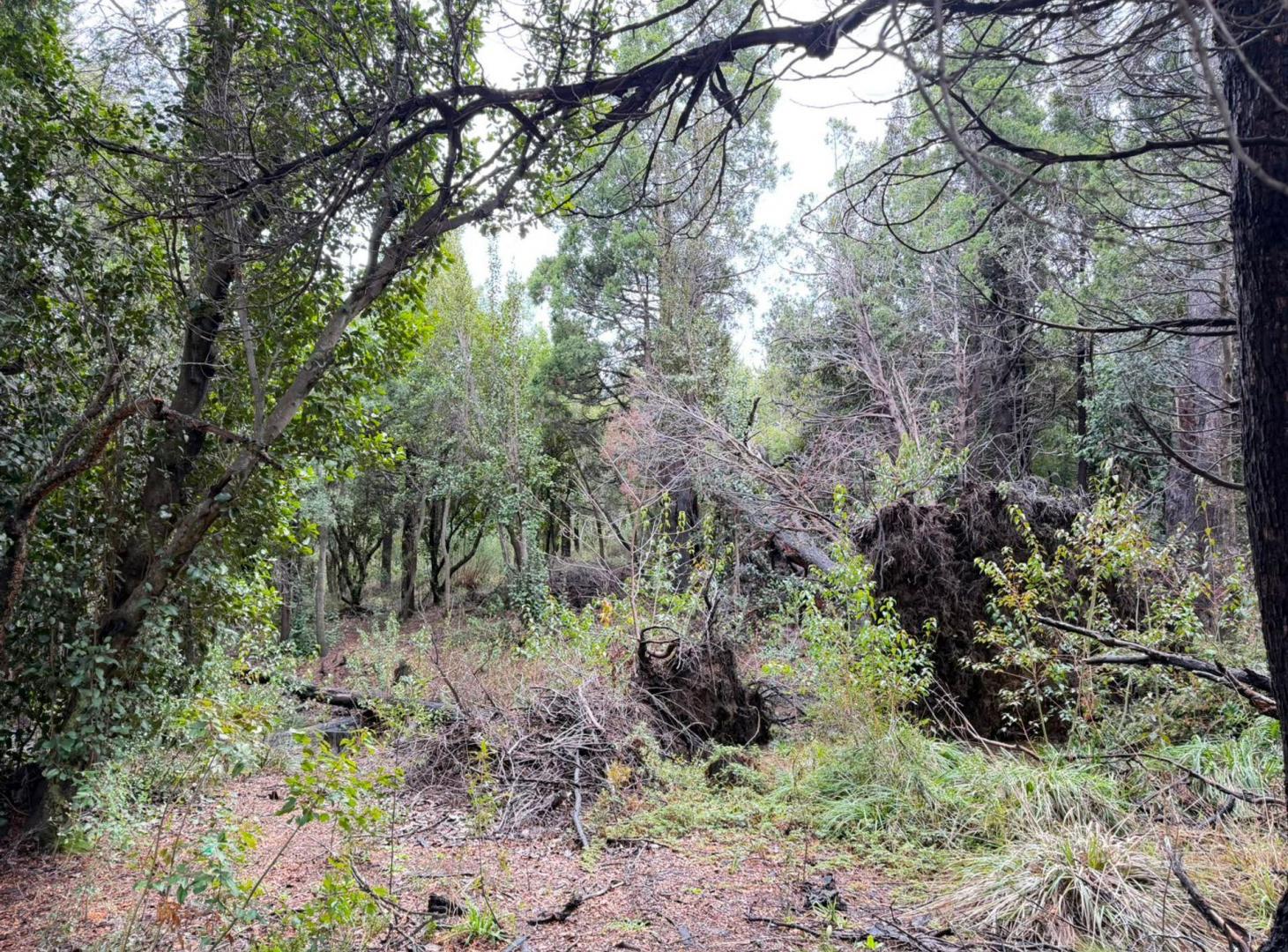 Foto de TERRENO EN VENTA 920m2, imagen 5