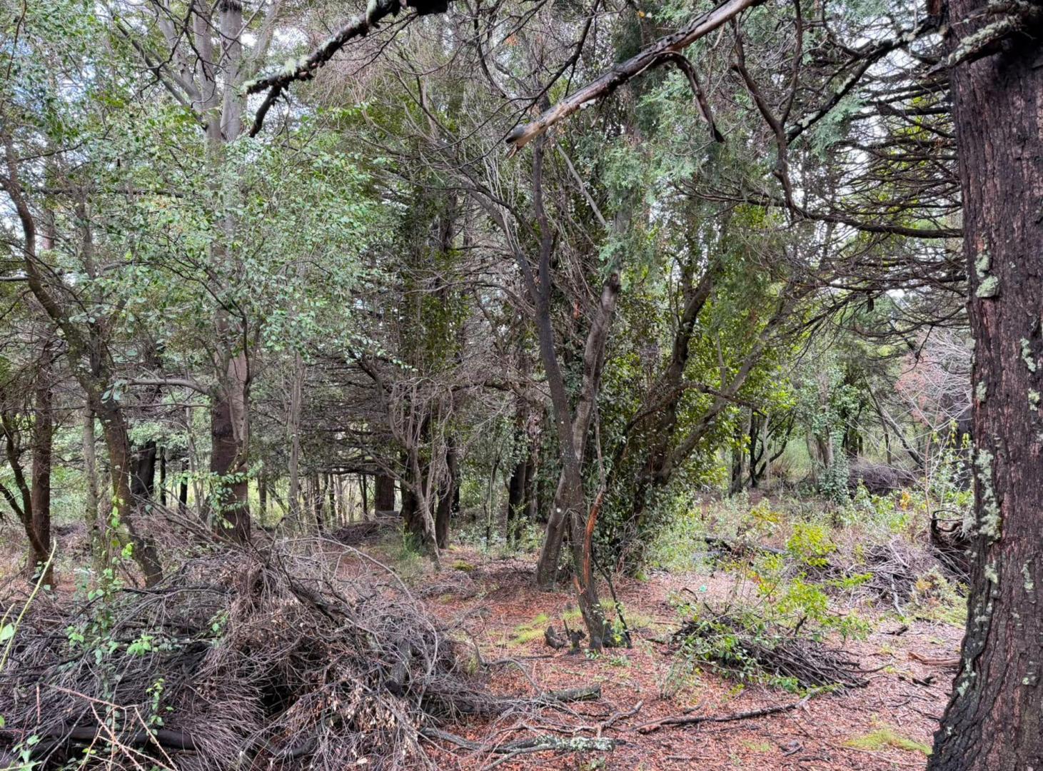 Foto de TERRENO EN VENTA 920m2, imagen 1