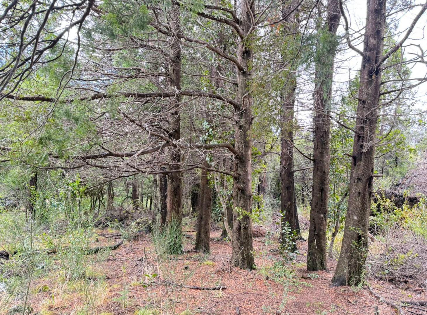Foto de TERRENO EN VENTA 920m2, imagen 4