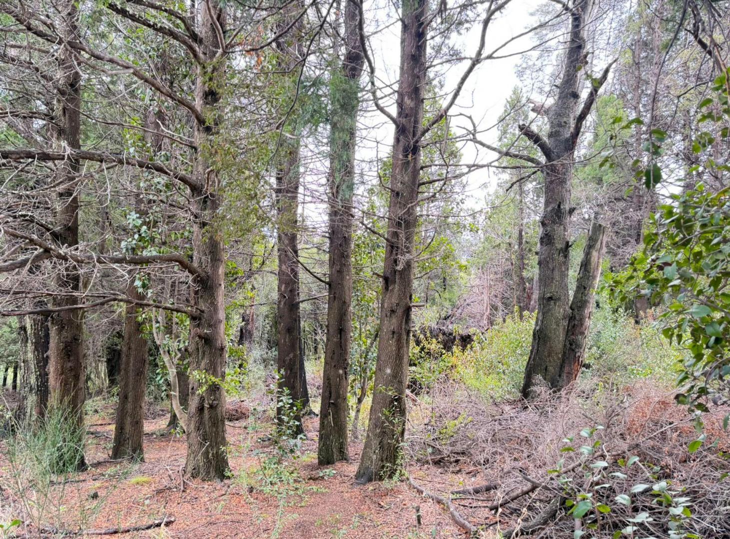 Foto de TERRENO EN VENTA 920m2, imagen 3