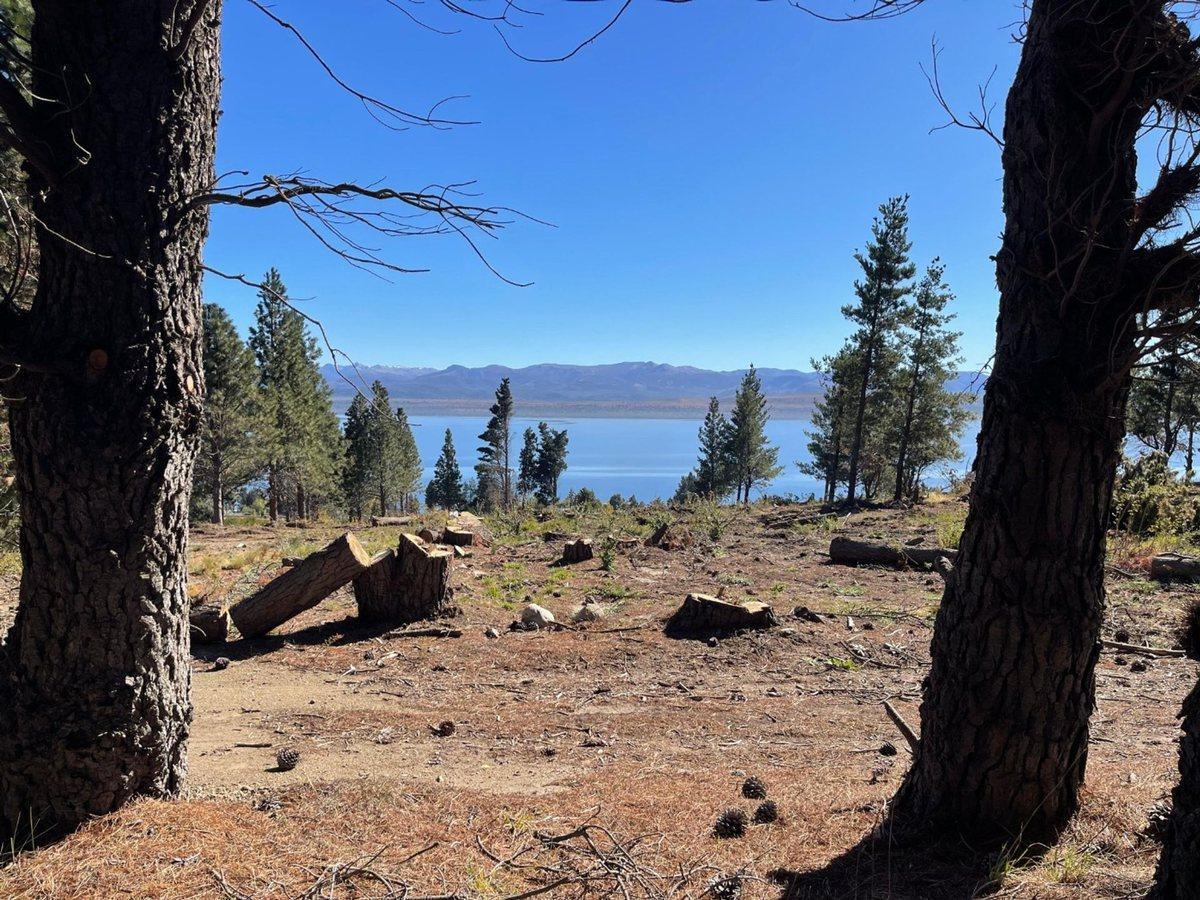 Foto de LOTE EN LAS CHACRAS RUTA40 SAN CARLOS DE BARILOCHE, imagen 3