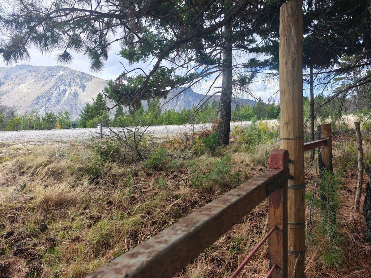 Foto de Campo en Venta en Cuesta del Ternero, imagen 3
