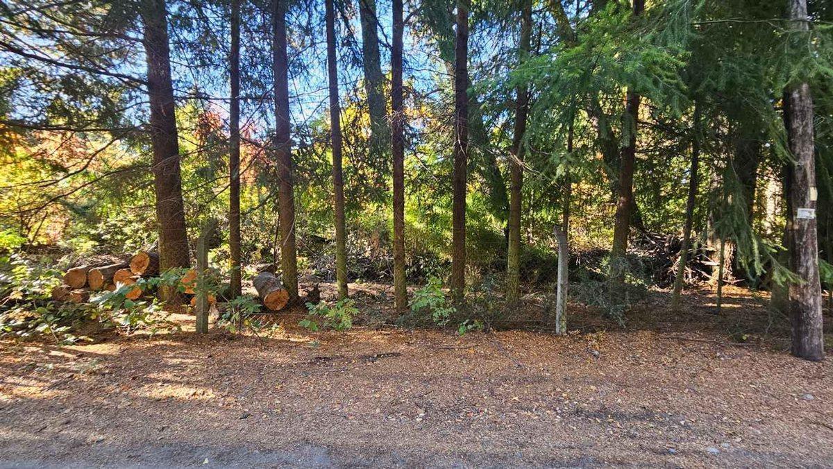 Foto de LOTE DE 1030M2 EN ZONA KM16 DE BUSTILLO, imagen 4
