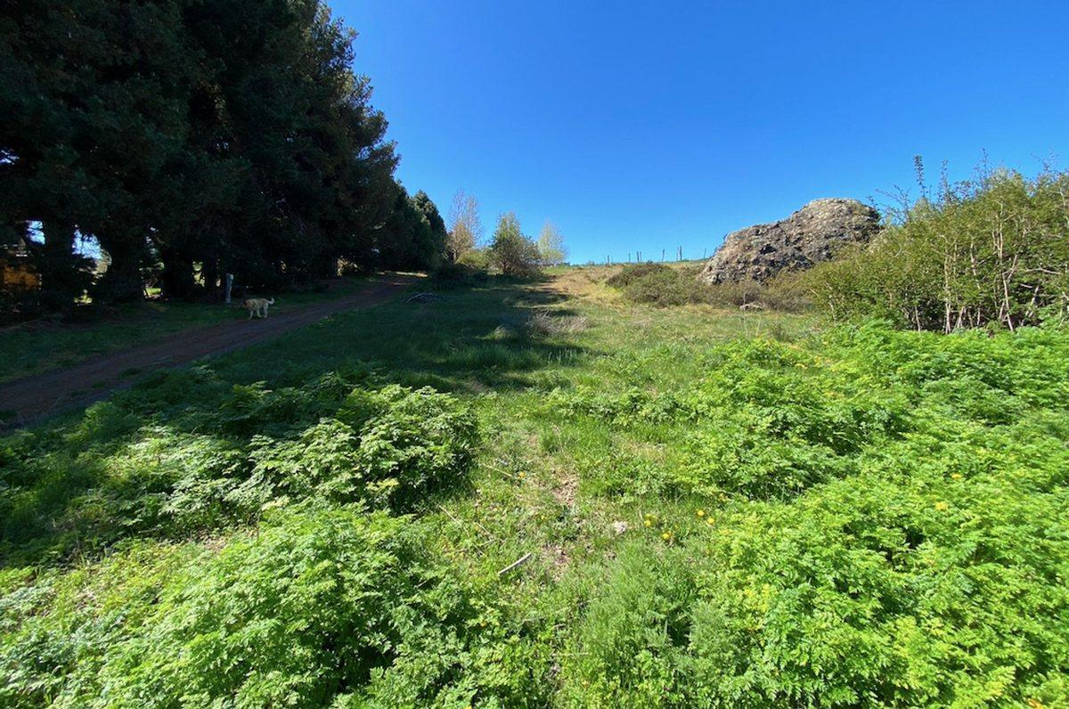 Foto de Lote en PH en venta en Ñirihuau - Dina Huapi, imagen 4