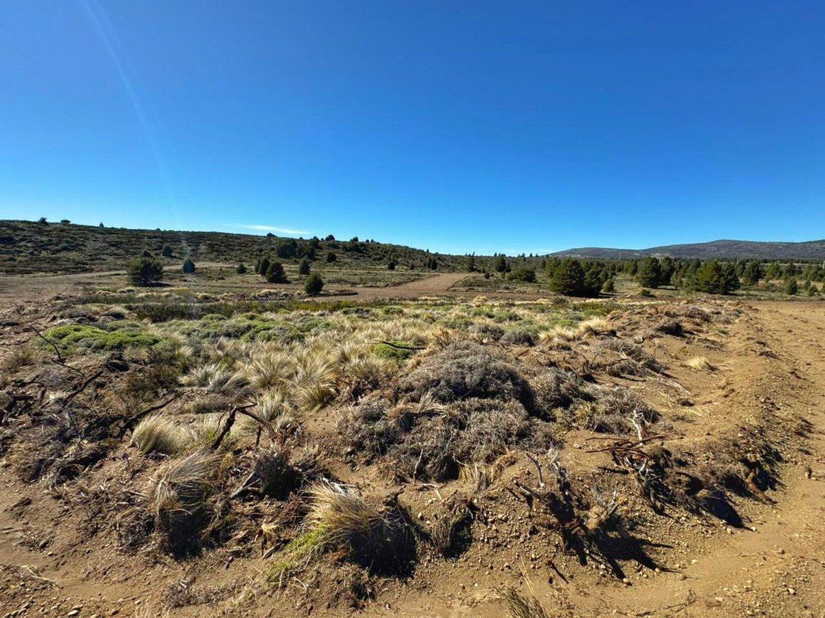 Foto de Lotes a la venta con vista a las montañas, imagen 5