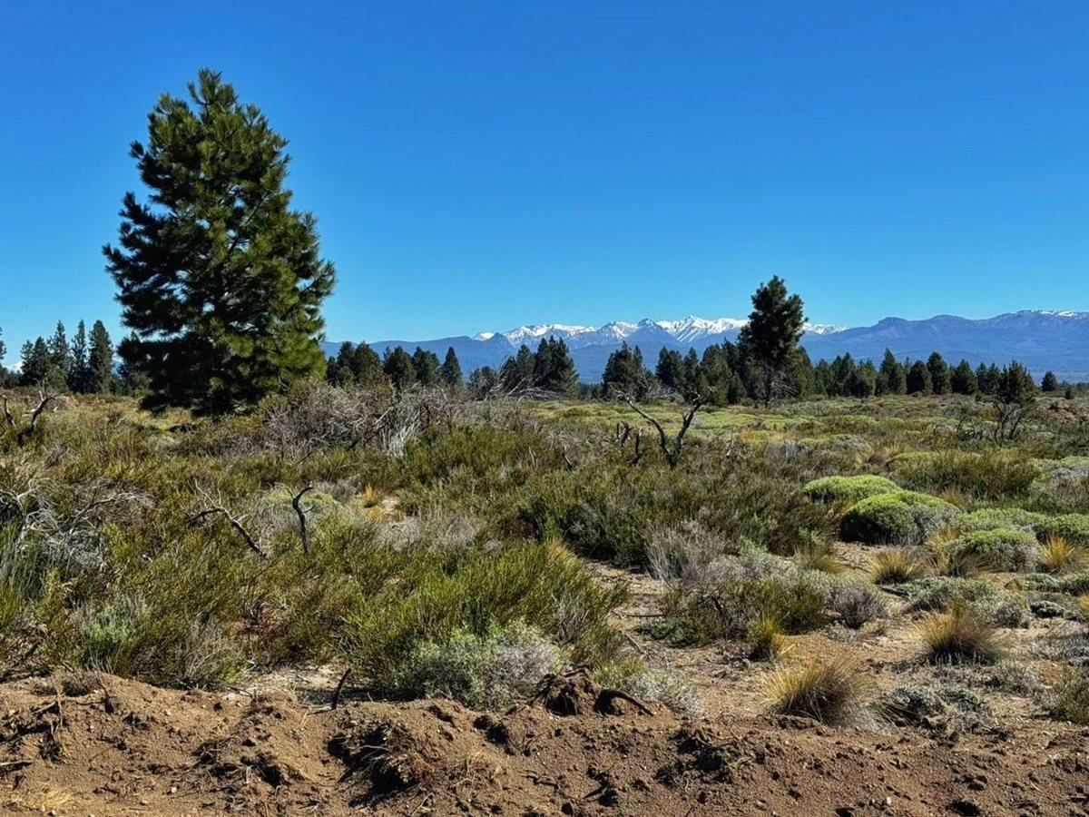 Foto de Lotes a la venta con vista a las montañas, imagen 1