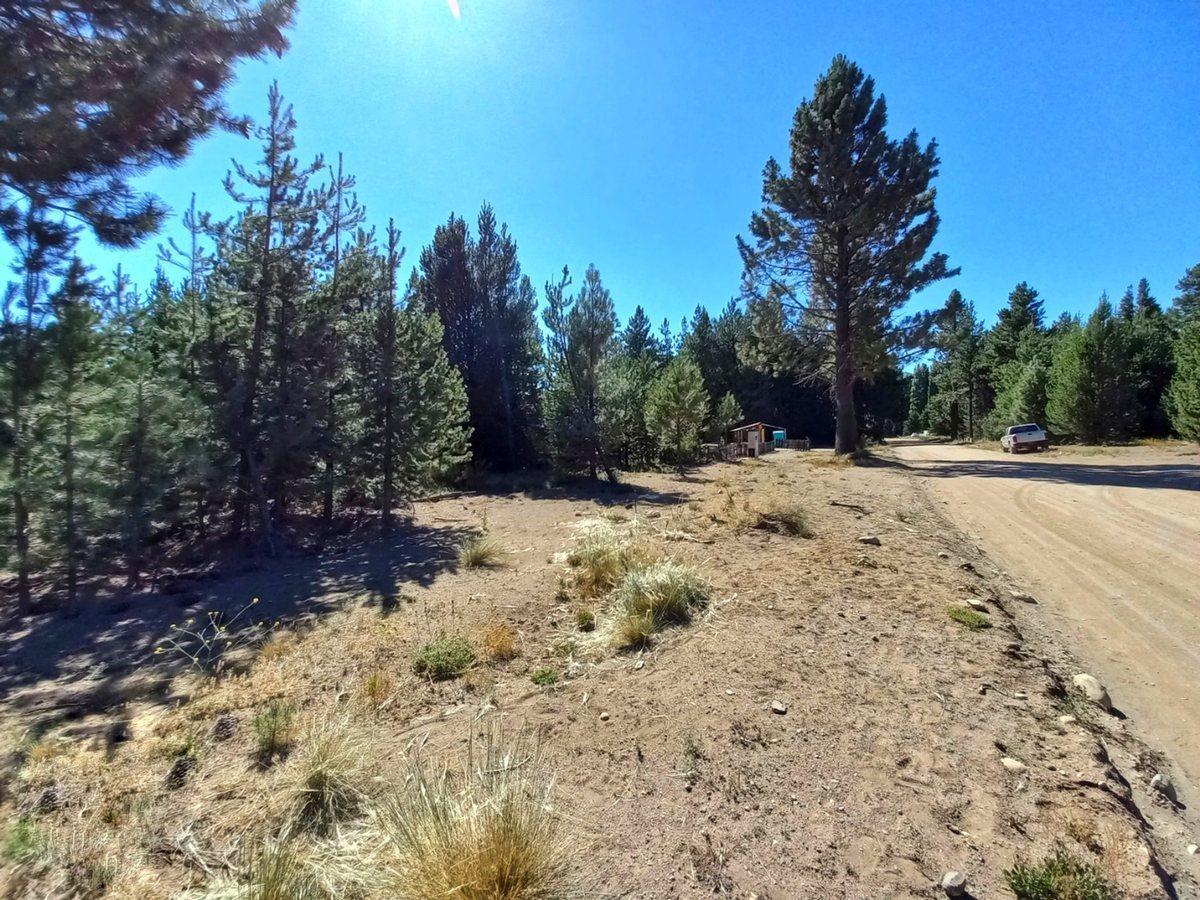 Foto de terreno a la venta en bariloche, imagen 3