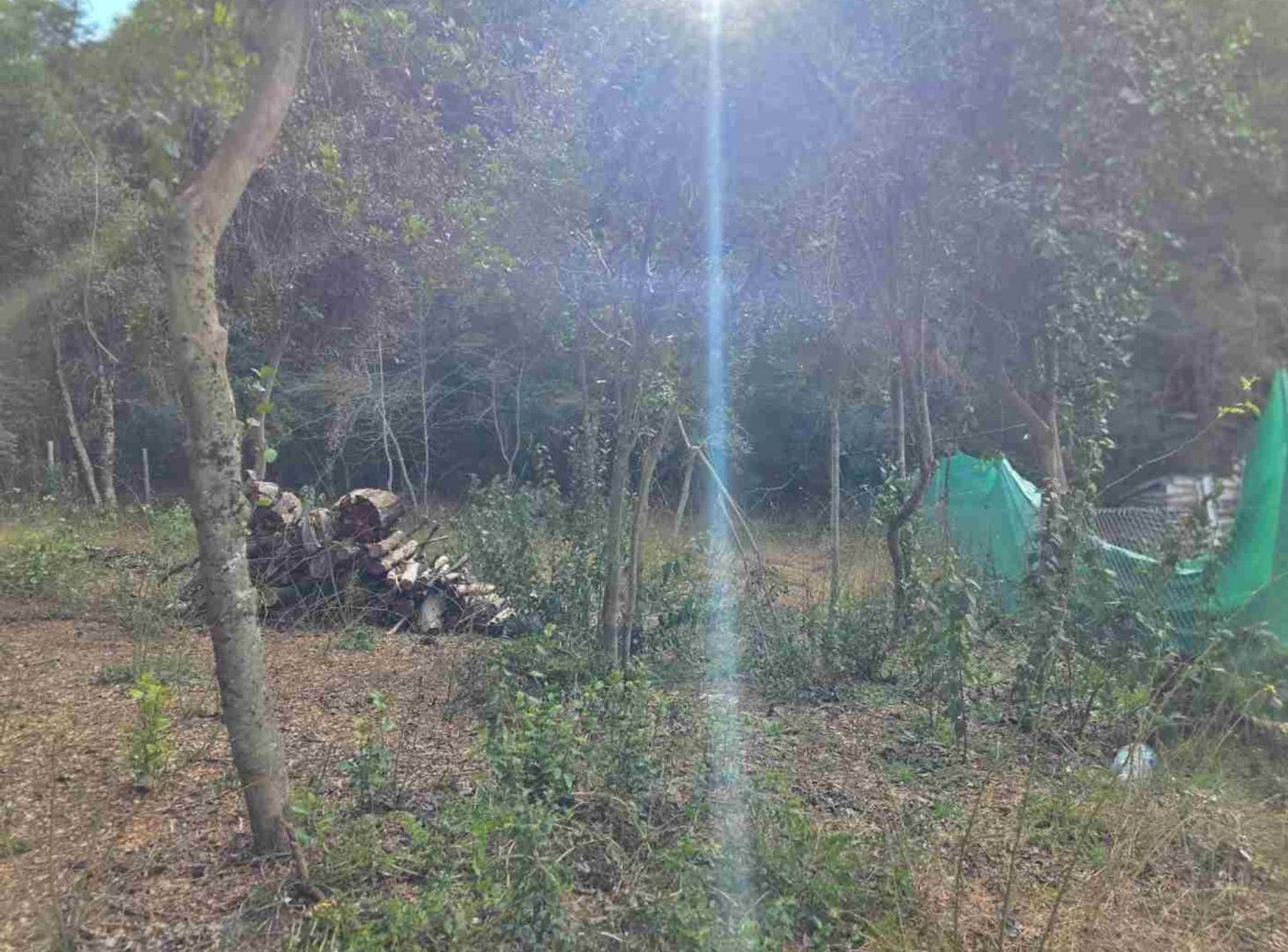 Foto de Venta de lote en san carlos de bariloche, imagen 5
