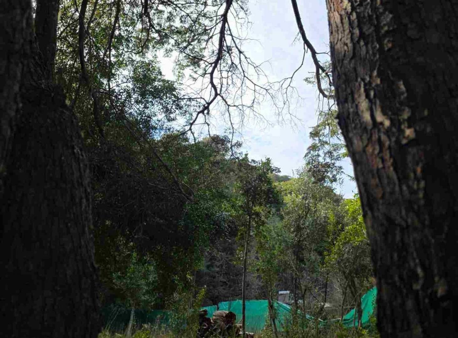 Foto de Venta de lote en san carlos de bariloche, imagen 3
