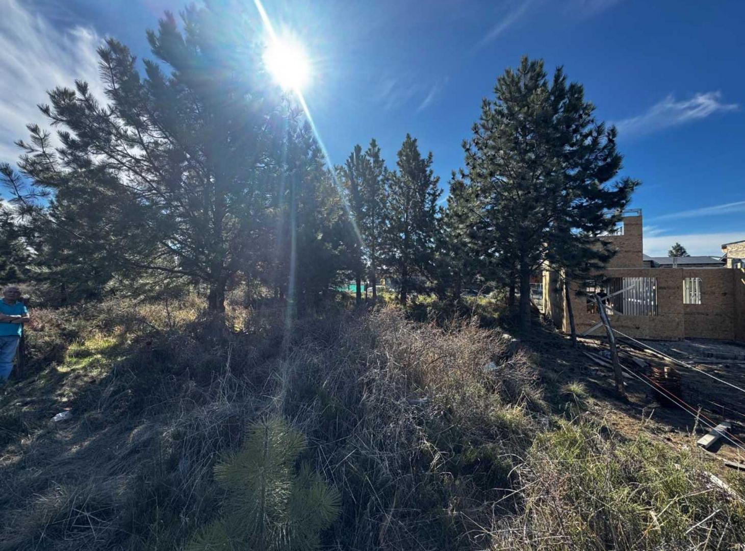 Foto de Lote en venta Altos del Este Bariloche – 341 m², imagen 1