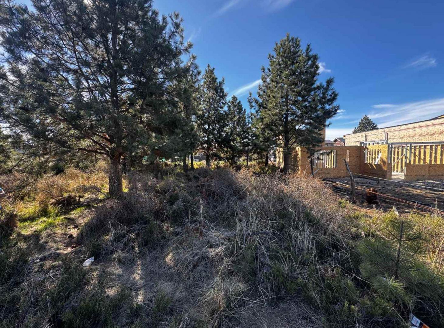 Foto de Lote en venta Altos del Este Bariloche – 341 m², imagen 4