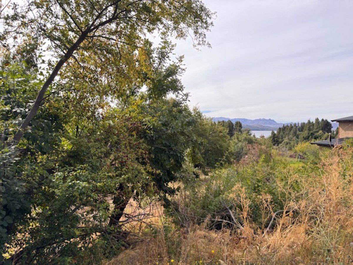 Foto de Lote con vista al lago en Bariloche Costa del Sol, imagen 3