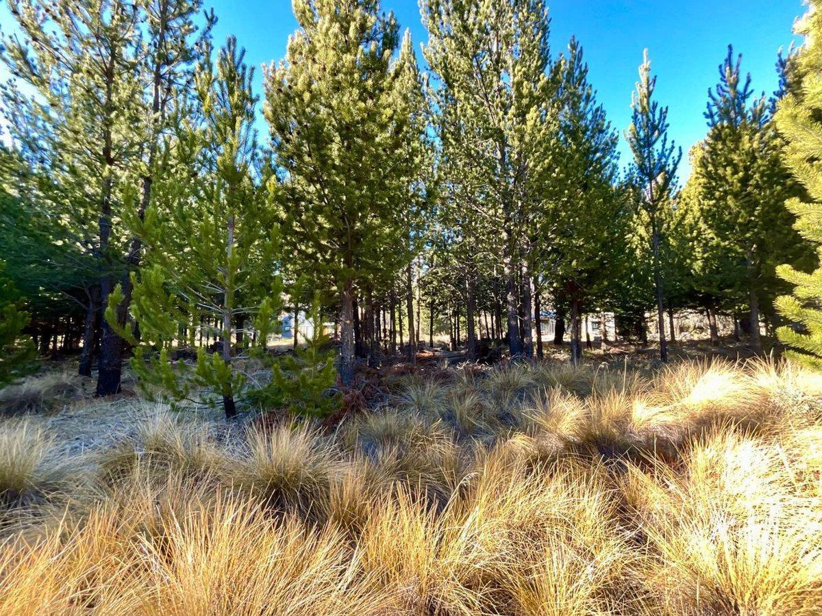 Foto de Venta Lote Financiación Club Dos Valles Bariloche, imagen 2