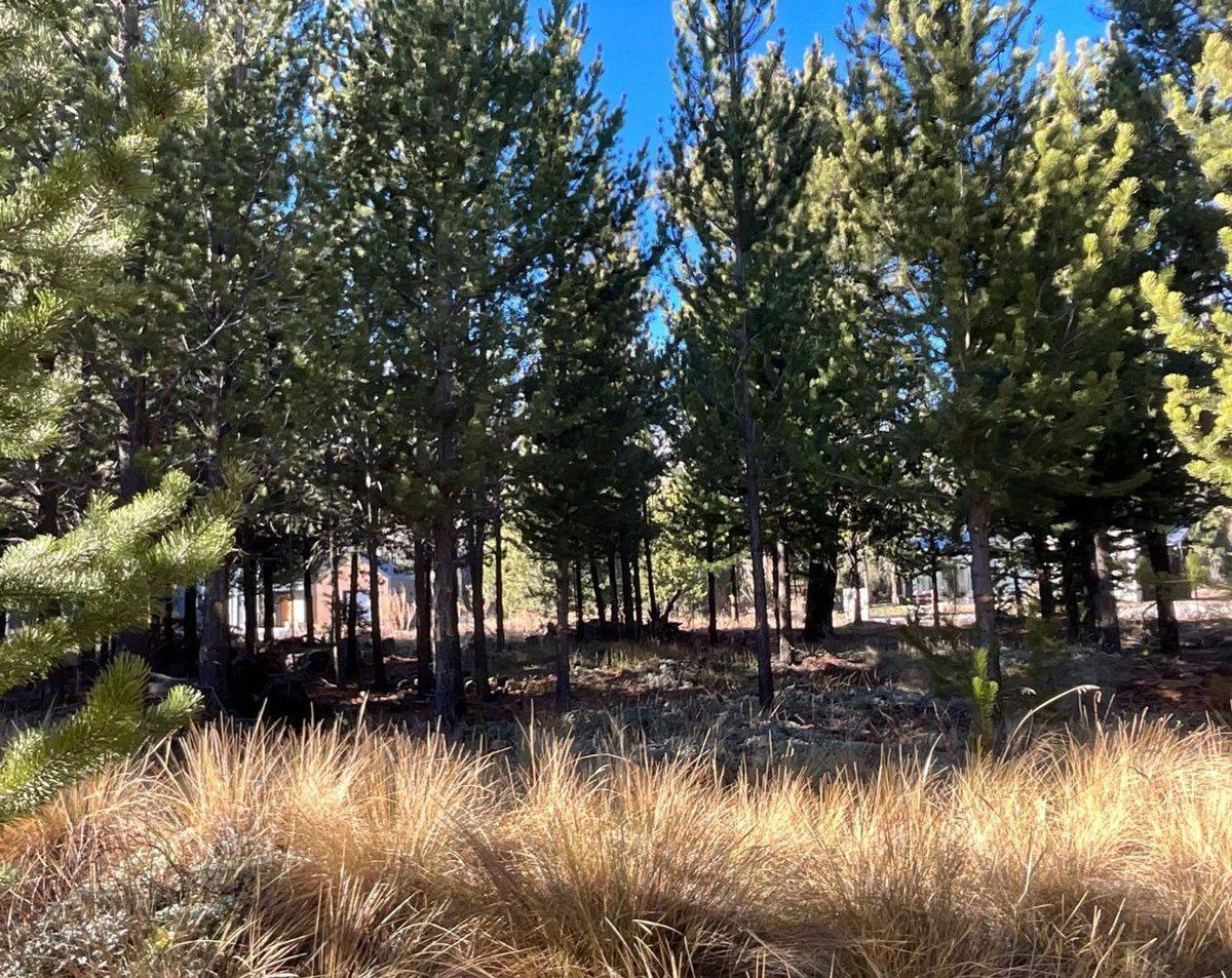 Foto de Venta Lote Financiación Club Dos Valles Bariloche, imagen 4