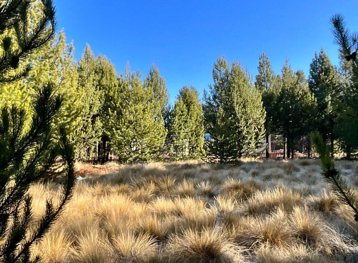 Foto de Venta Lote Financiación Club Dos Valles Bariloche, imagen 1
