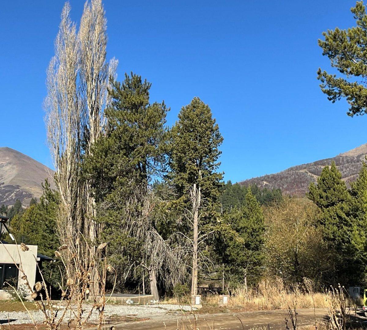 Foto de Venta Lote Financiación Club Dos Valles Bariloche, imagen 5