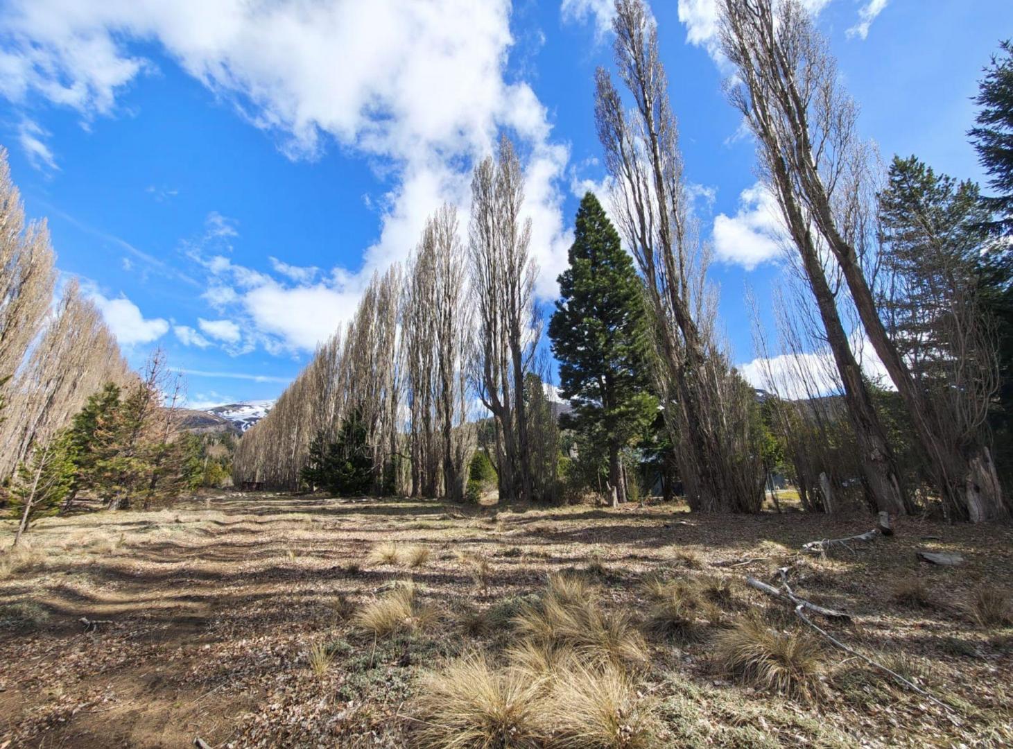 Foto de Lote O59 Club de campo Dos Valles Bariloche 907m2, imagen 4