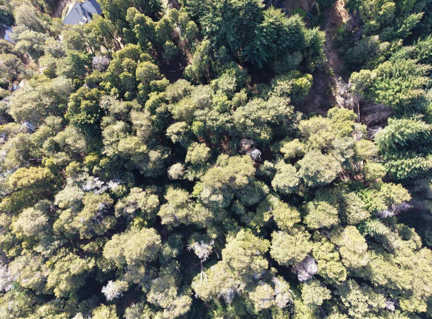 Foto de Lote en Venta - Villa Arelauquen - Isla Centinela, imagen 4