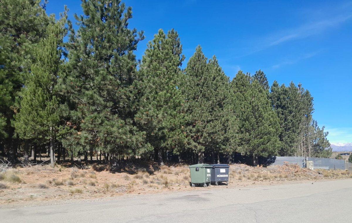 Foto de VENTA LOTE en Bº Girasoles del Limay Dina Huapi, imagen 1